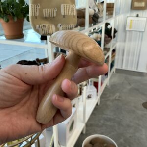 Mushroom Pin Case