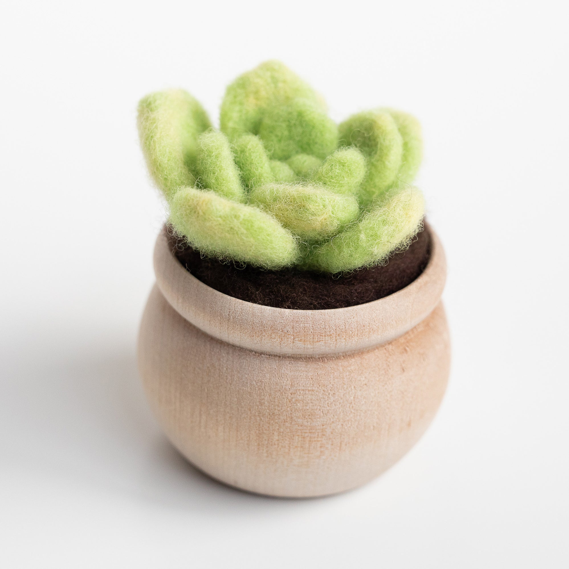 Lily Pad Succulent Mini Needle Felting Kit