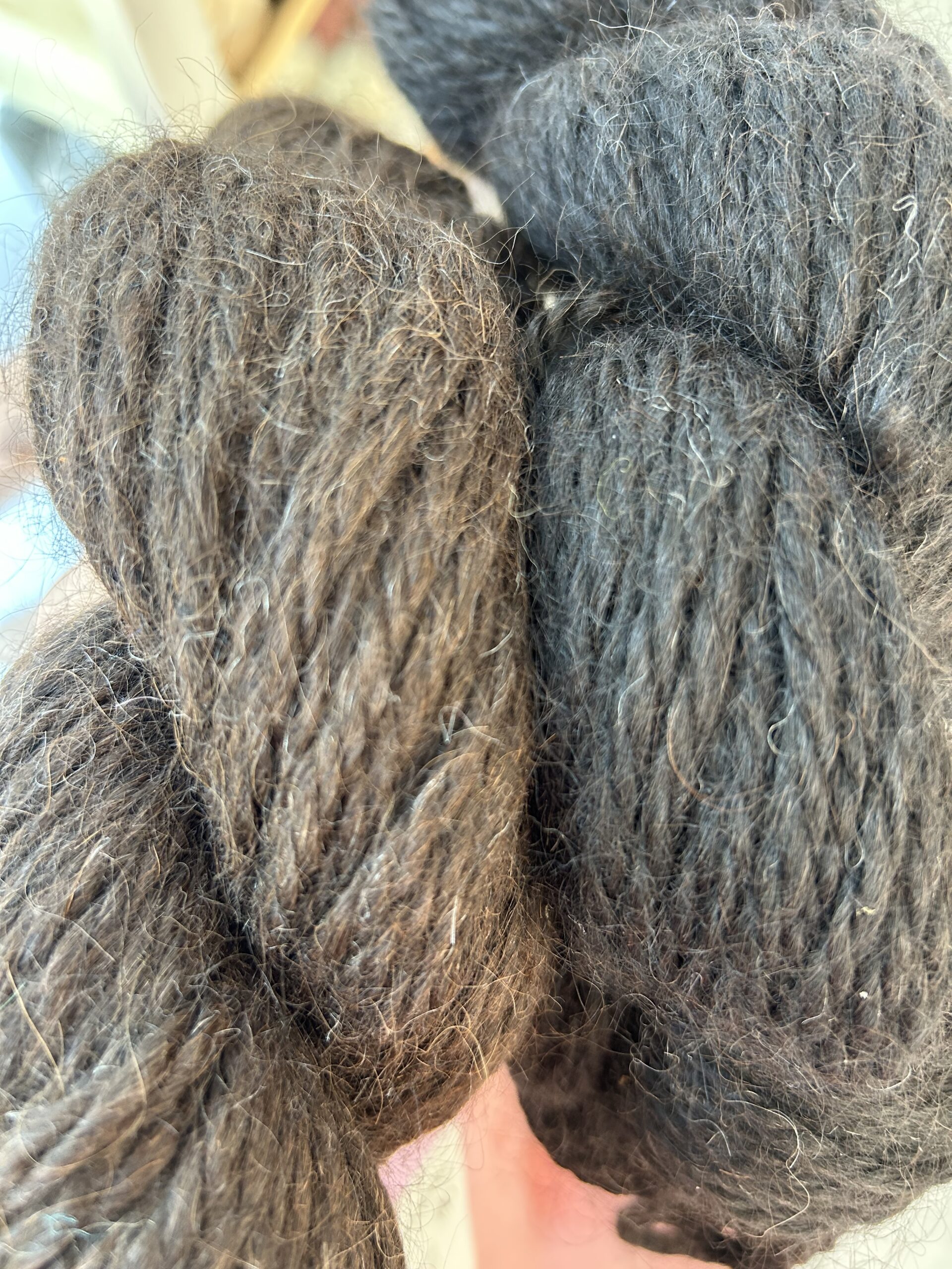 TRF #17 Alpaca : Bulky