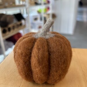 Felted Pumpkin