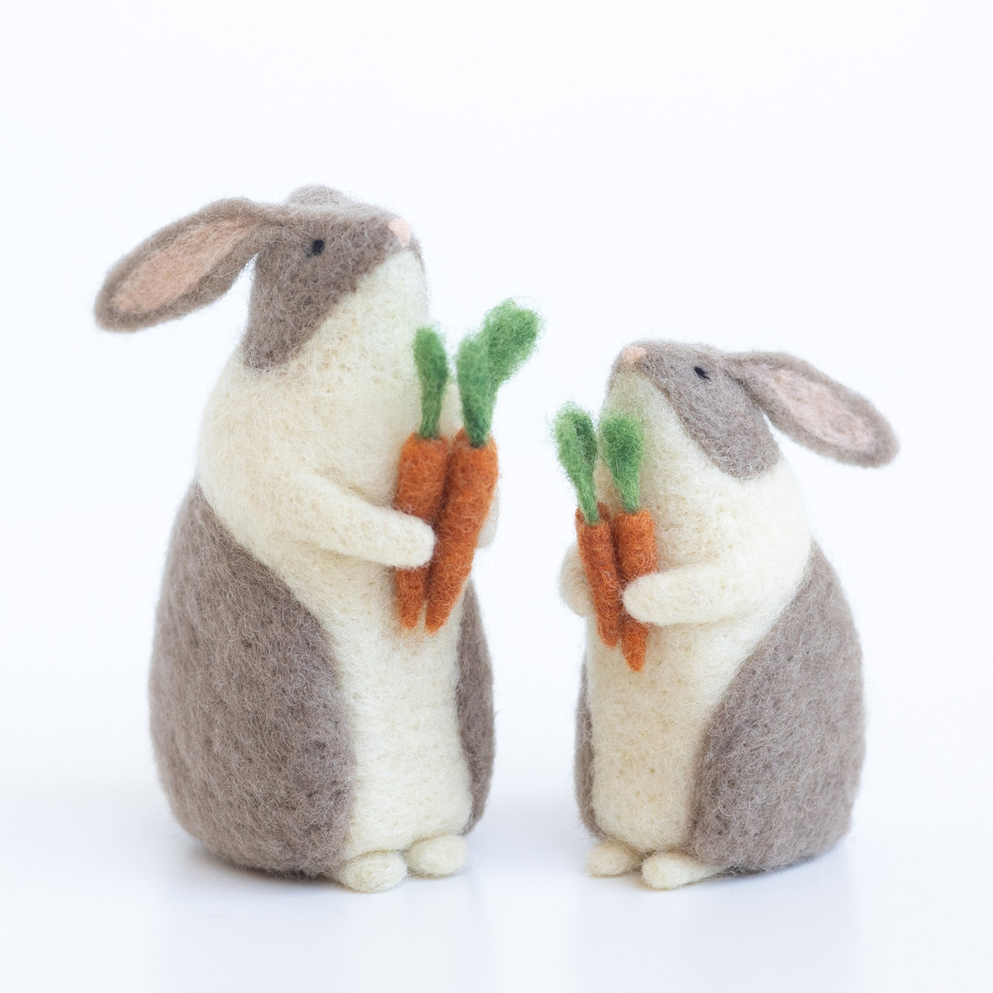 Bunnies & Carrots Needle Felting Kit